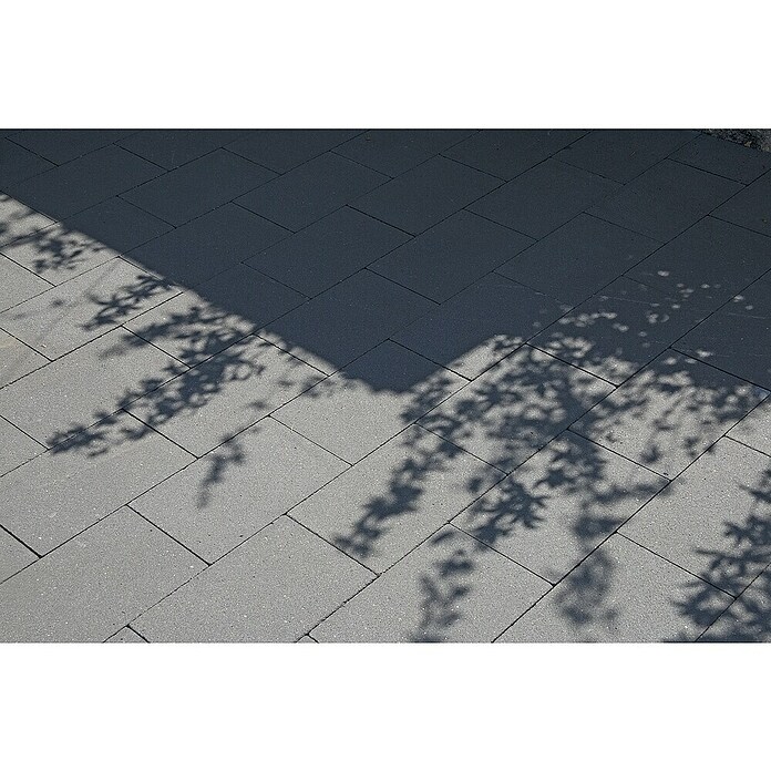 Betontegel Basic Zwart (Beton, 30 x 20 x 5 cm, Zwart) | BAUHAUS