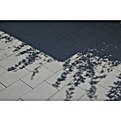 Betontegel Basic Zwart (Beton, 30 x 20 x 5 cm, Zwart) | BAUHAUS