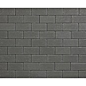 Straatsteen Betonklinker Zwart (Beton, Zwart) | BAUHAUS