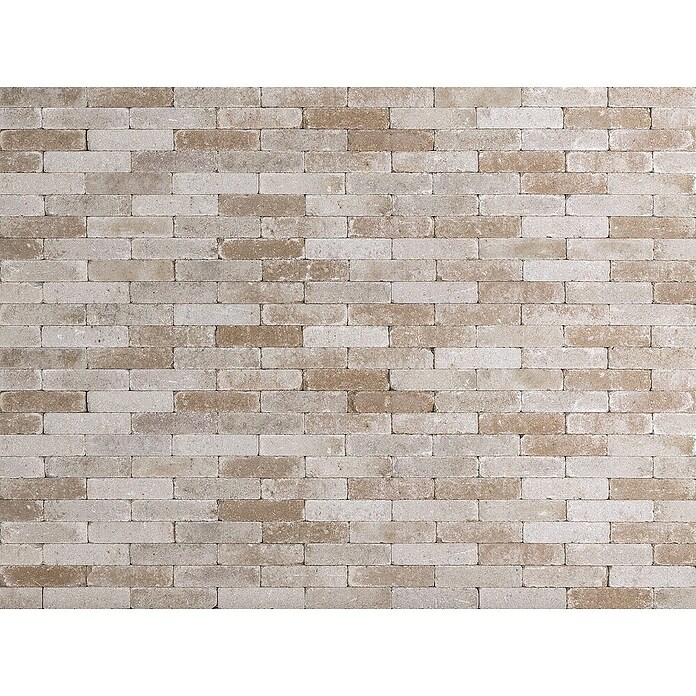 Straatsteen Tumbelton Goya (Beton, 20 x 5 x 7,3 cm, Grijs Beige) | BAUHAUS