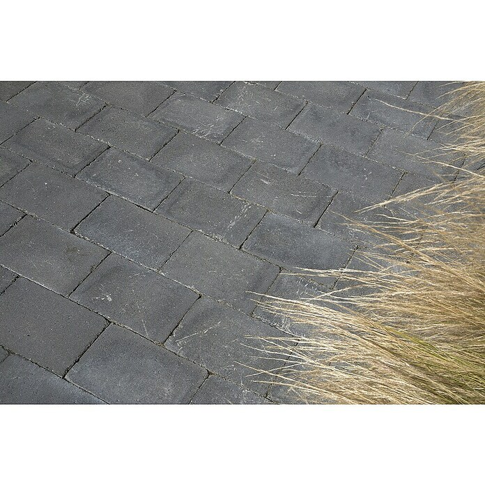Betontegel Trommelsteen Zwart (Beton, 30 x 20 x 6 cm, Zwart) | BAUHAUS