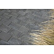 Betontegel Trommelsteen Zwart (Beton, 30 x 20 x 6 cm, Zwart) | BAUHAUS