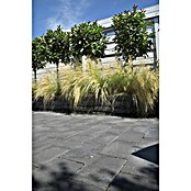 Betontegel Trommelsteen Zwart (Beton, 30 x 20 x 6 cm, Zwart) | BAUHAUS