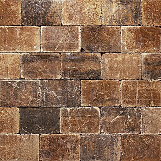 Betontegel Trommelsteen Bruin Nuance (Beton, 30 x 20 x 6 cm, Beige)