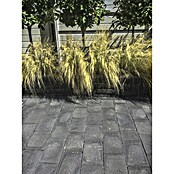 Straatsteen Tumbelton Coal (Beton, 20 x 5 x 7,3 cm, Zwart) | BAUHAUS
