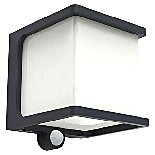 Lutec Aplique solar LED para exterior Doblo (7,5 W, Aluminio, Blanco neutro, Acero inoxidable, L x An x Al: 12,9 x 11 x 11 cm)