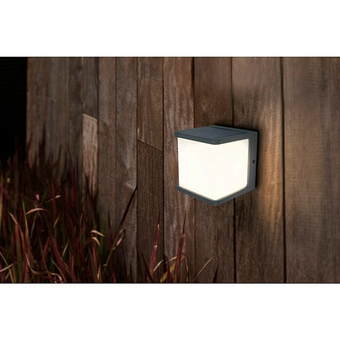 Lutec Doblo Aplique solar para exterior Doblo (7,5 W, L x An x Al: 12,9 x 11 x 11 cm, IP54, 500 lm) | BAUHAUS