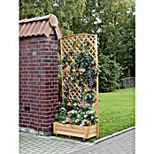 Promadino Pflanzkasten (91 x 41 x 205 cm, Natur, Ausführung: Mit Rankgitter)