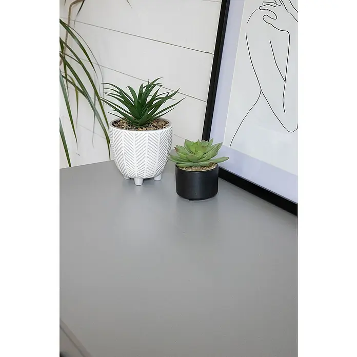 D-c-fix Klebefolie Uni Seidenmatt - 210 x 90 cm, Grau, Selbstklebend - Zwei dekorative Sukkulenten in stilvollen Töpfen stehen auf einer grauen Oberfläche, ideal für moderne Innenräume.