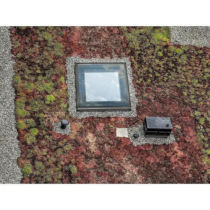 Solid Elements Flachdachfenster FRF - 60 x 60 cm - Ansicht von oben auf ein begrüntes Dach mit einem Oberlicht, umgeben von Kies, mit grüner und roter Vegetation.
