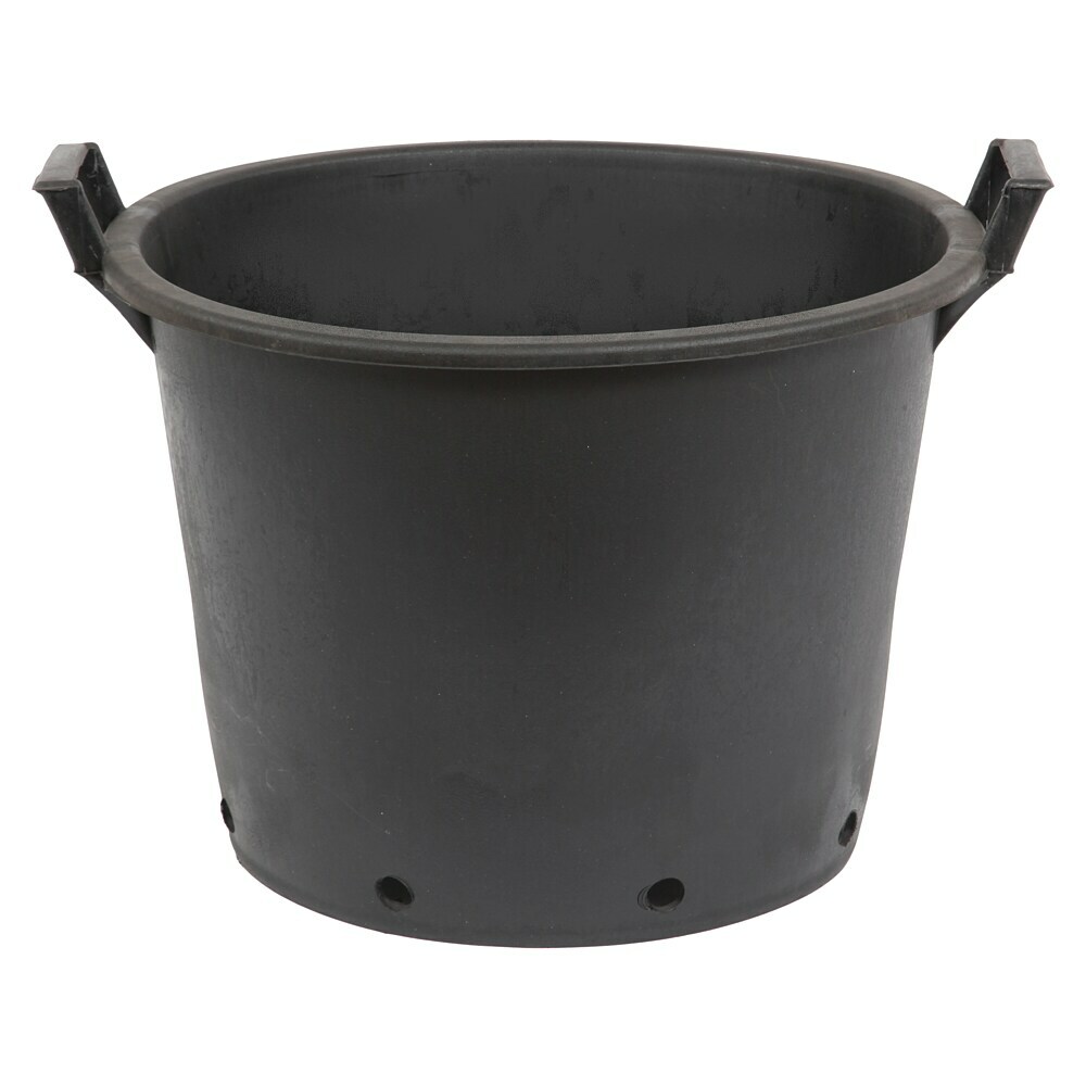 Pflanzen-kölle Containertopf, Plastica, con Ablauflöchern - 12 cm