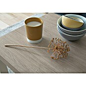 D-c-fix Holzoptikfolie (200 x 45 cm, Santana Oak, Kalk, Selbstklebend)