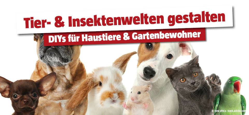DIY Tiere und Insekten