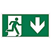 Pickup Fluchtwegschild (Motiv: Notausgang-Pfeil unten, L x B: 15 x 30 cm)