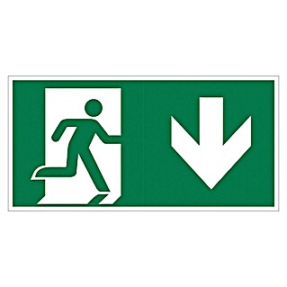 Pickup Señal de salida de emergencia (Motivo: Flecha de salida de emergencia debajo, L x An: 30 x 15 cm)