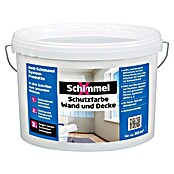 SchimmelX Wandfarbe Schutzfarbe Wand und Decke (Weiß, 10 l, Matt) | BAUHAUS