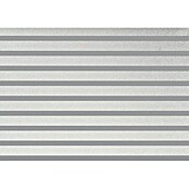 D-c-fix StaticStripes Glasfolie (Clarity, 200 x 45 cm, Statisch haftend)