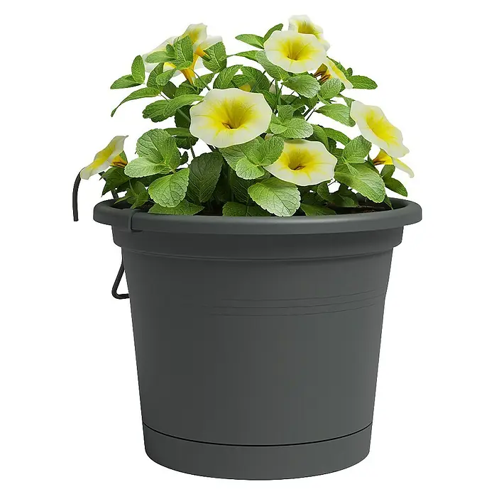 Artevasi Venezia Geländertopf - L x B x H: 25,5 x 20 x 16 cm, Kunststoff, Anthrazit - Ein grauer Blumentopf mit gelben Blumen und grünen Blättern, der eine attraktive und natürliche Dekoration für jeden Raum bietet.