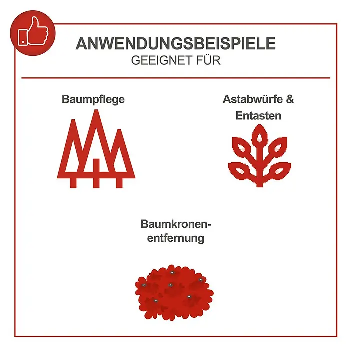Scheppach Benzin-Kettensäge PCS26 Tophandle - 0,7 kW, 25,4 cm³, Schwertlänge: 25 cm - Anwendungsbeispiele für Baumpflege, Astarbwürfe & Entasten sowie Baumkronenentfernung.