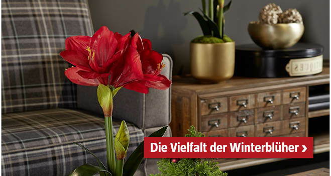 Winterblüher