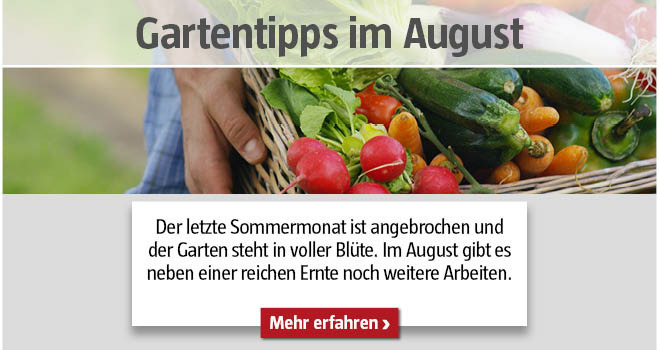 Gartentipps August