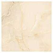 Feinsteinzeugfliese Royal Onyx (60 x 60 cm, Creme, Glänzend) | BAUHAUS