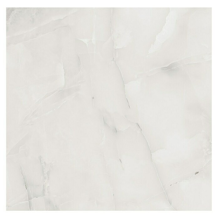 Feinsteinzeugfliese Royal Onyx (60 x 60 cm, Hellgrau, Glänzend) | BAUHAUS