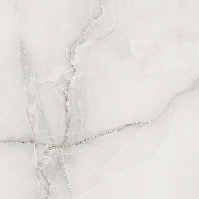 Feinsteinzeugfliese Royal Onyx (60 x 60 cm, Hellgrau, Glänzend) | BAUHAUS