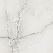 Feinsteinzeugfliese Royal Onyx (60 x 60 cm, Hellgrau, Glänzend) | BAUHAUS
