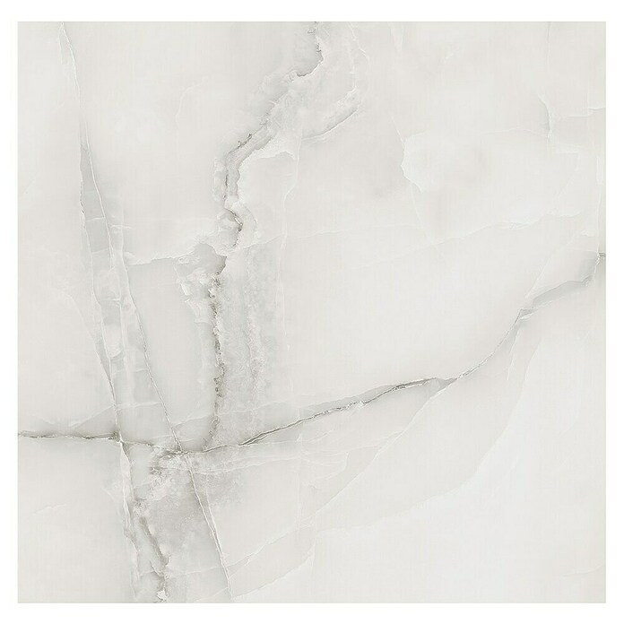 Feinsteinzeugfliese Royal Onyx (60 x 60 cm, Hellgrau, Glänzend) | BAUHAUS