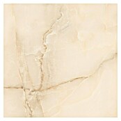 Feinsteinzeugfliese Royal Onyx (60 x 60 cm, Creme, Glänzend) | BAUHAUS