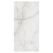 Feinsteinzeugfliese Royal Onyx (60 x 120 cm, Hellgrau, Glänzend) | BAUHAUS