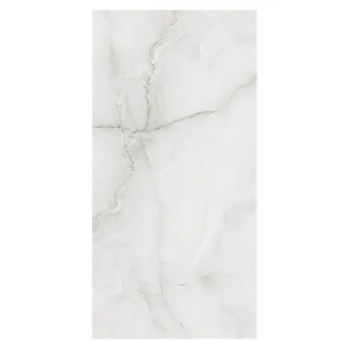 Feinsteinzeugfliese Royal Onyx - 60 x 120 cm, Hellgrau, Glänzend - Nahaufnahme einer Marmorfliese in Weiß mit zarten grauen Adern. Ideal für elegante und moderne Innenräume, bietet eine stilvolle Optik.