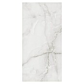 Feinsteinzeugfliese Royal Onyx (60 x 120 cm, Hellgrau, Glänzend) | BAUHAUS