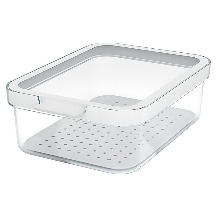 Rotho Recipiente de almacenaje Cauma (L x An x Al: 19,6 x 13,6 x 6,2 cm, Plástico, Transparente, Específico para: Nevera y congelador) | BAUHAUS