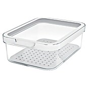 Rotho Recipiente de almacenaje Cauma (L x An x Al: 19,6 x 13,6 x 6,2 cm, Plástico, Transparente, Específico para: Nevera y congelador) | BAUHAUS