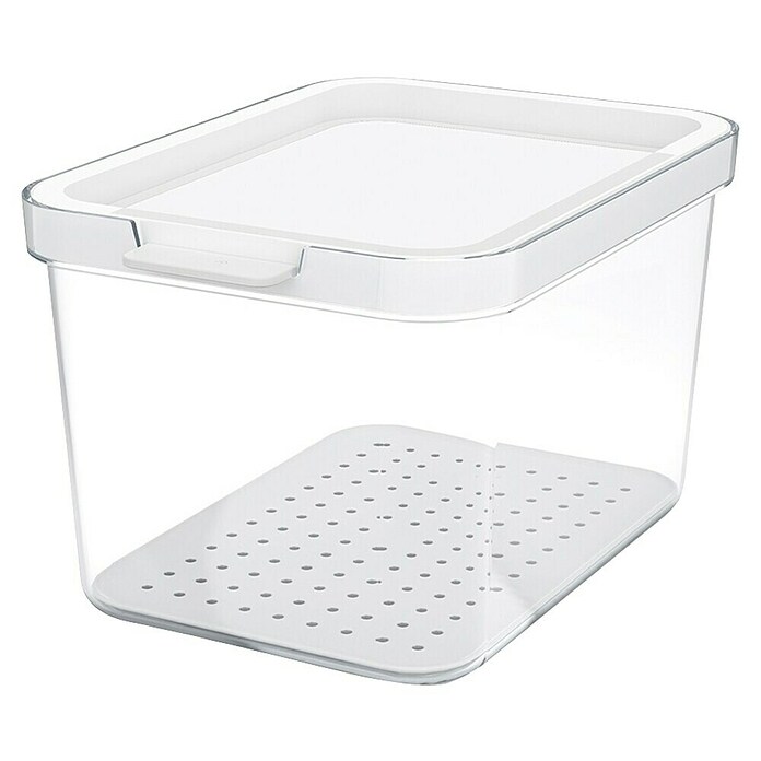Rotho Recipiente de almacenaje Cauma (L x An x Al: 19,6 x 13,6 x 11,3 cm, Plástico, Transparente, Específico para: Nevera y congelador) | BAUHAUS
