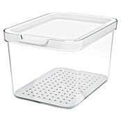 Rotho Recipiente de almacenaje Cauma (L x An x Al: 19,6 x 13,6 x 11,3 cm, Plástico, Transparente, Específico para: Nevera y congelador) | BAUHAUS