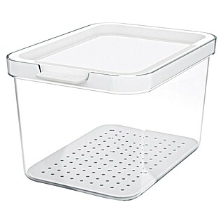 Rotho Recipiente de almacenaje Cauma (L x An x Al: 19,6 x 13,6 x 11,3 cm, Plástico, Transparente, Específico para: Nevera y congelador)