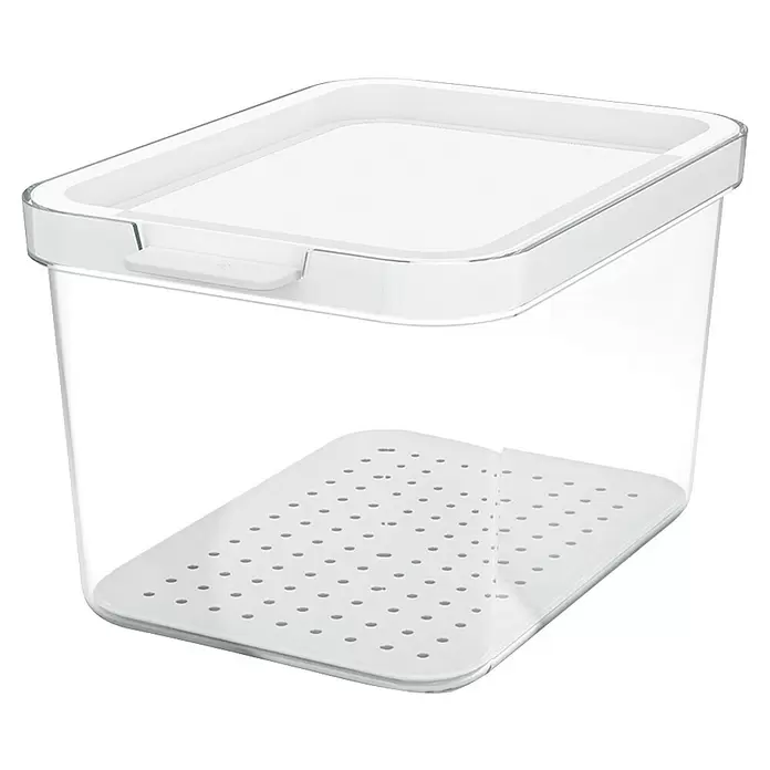 Rotho Recipiente de almacenaje Cauma - L x An x Al: 19,6 x 13,6 x 11,3 cm, Plástico, Transparente, Específico para: Nevera y congelador - Envase transparente para alimentos con tapa blanca y bandeja perforada de drenaje blanca.