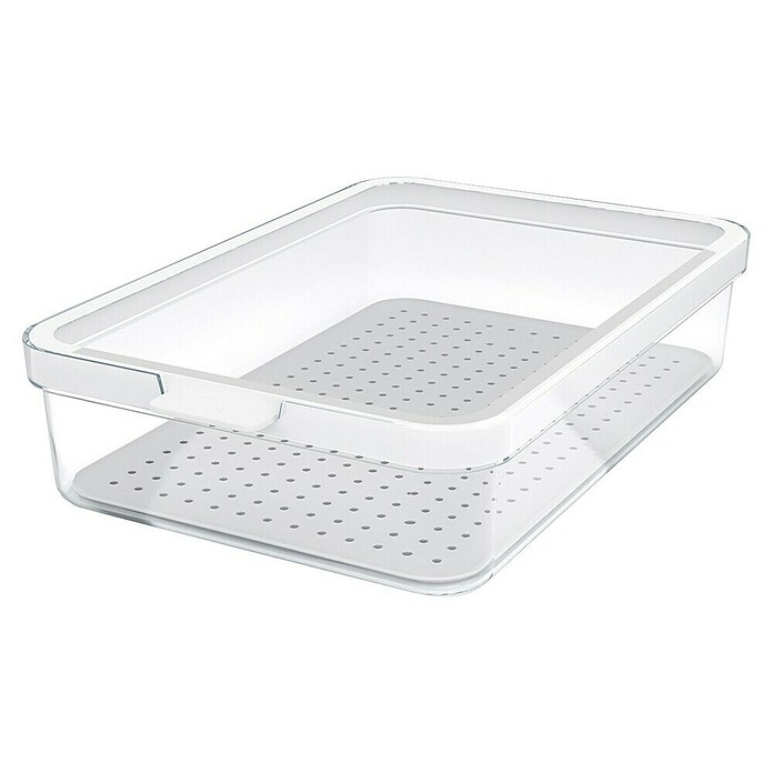 Rotho Recipiente de almacenaje Cauma (L x An x Al: 28,2 x 18,4 x 6,2 cm, Plástico, Transparente, Específico para: Nevera y congelador) | BAUHAUS