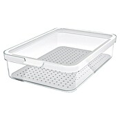 Rotho Recipiente de almacenaje Cauma (L x An x Al: 28,2 x 18,4 x 6,2 cm, Plástico, Transparente, Específico para: Nevera y congelador) | BAUHAUS