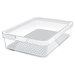 Rotho Recipiente de almacenaje Cauma (L x An x Al: 28,2 x 18,4 x 6,2 cm, Plástico, Transparente, Específico para: Nevera y congelador)