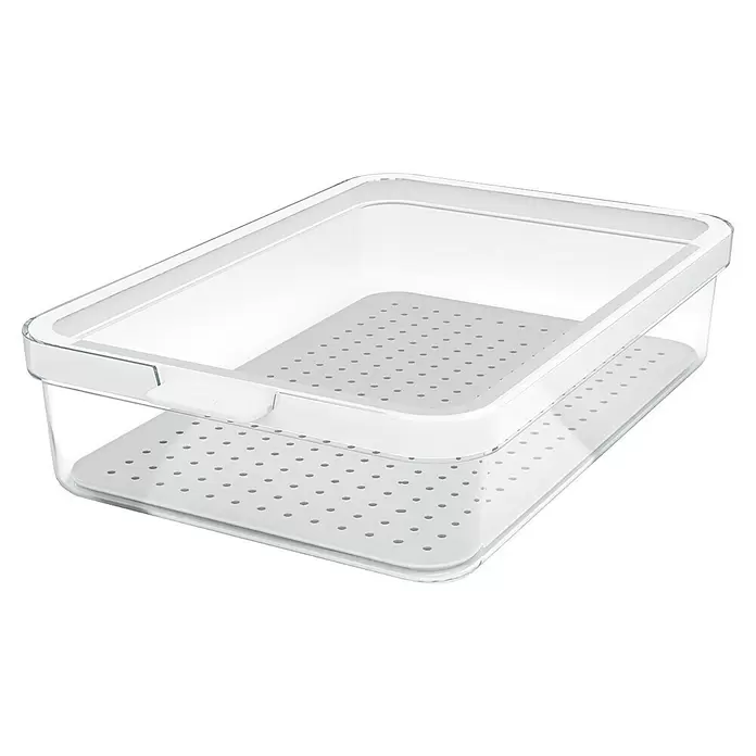 Rotho Recipiente de almacenaje Cauma - L x An x Al: 28,2 x 18,4 x 6,2 cm, Plástico, Transparente, Específico para: Nevera y congelador - Contenedor transparente para alimentos con tapa blanca y bandeja de drenaje blanca perforada.
