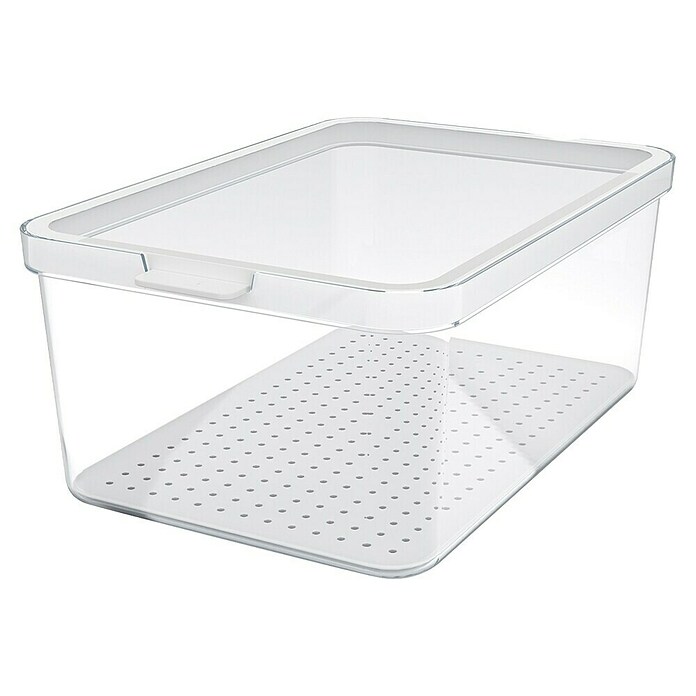 Rotho Recipiente de almacenaje Cauma (L x An x Al: 28,2 x 18,4 x 11,3 cm, Plástico, Transparente, Específico para: Nevera y congelador) | BAUHAUS