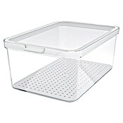 Rotho Recipiente de almacenaje Cauma (L x An x Al: 28,2 x 18,4 x 11,3 cm, Plástico, Transparente, Específico para: Nevera y congelador) | BAUHAUS
