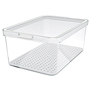 Rotho Recipiente de almacenaje Cauma (L x An x Al: 28,2 x 18,4 x 11,3 cm, Plástico, Transparente, Específico para: Nevera y congelador)