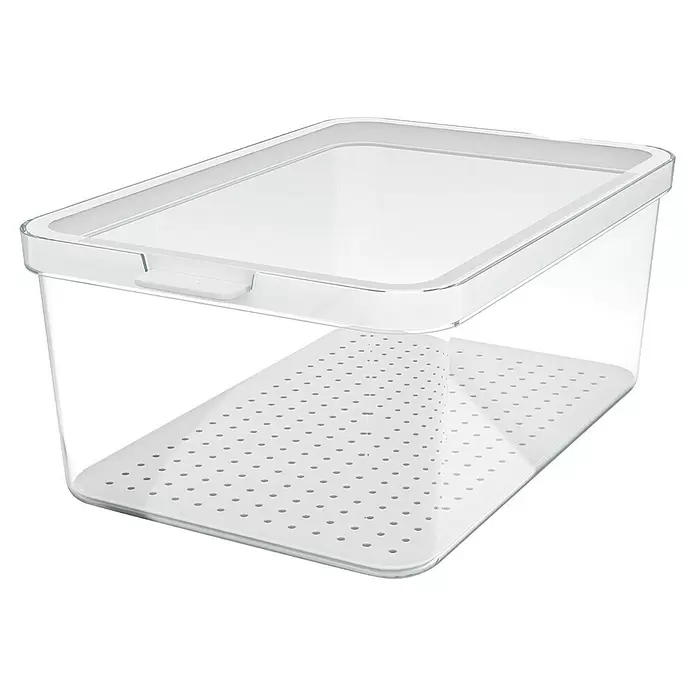 Rotho Recipiente de almacenaje Cauma - L x An x Al: 28,2 x 18,4 x 11,3 cm, Plástico, Transparente, Específico para: Nevera y congelador - Recipiente rectangular transparente con tapa transparente, borde blanco y bandeja de drenaje perforada blanca.