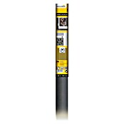 Schellenberg Rollo de fibra de vidrio Max Protect (An x Al: 120 x 150 cm, Color red: Antracita, Específico para: Mascotas) | BAUHAUS