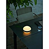 Nordlux Solar-tafellamp Bring To-Go wit-groen (l x b x h: 9,3 x 12 x 26 cm, Groen) | BAUHAUS